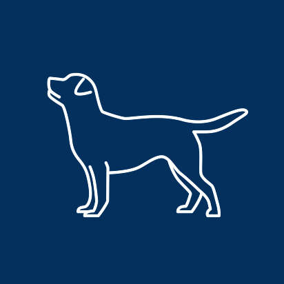 buffo bubblenavi uebersicht 412x412px neu